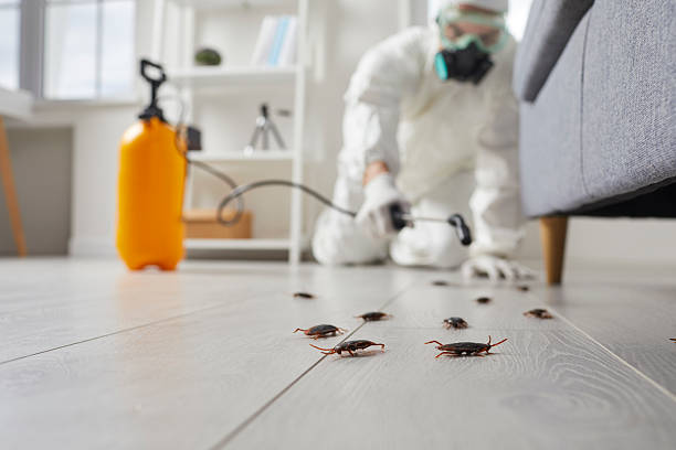 Trusted Fumigation Services service in Tinton Falls, NJ - Nex Pest Control