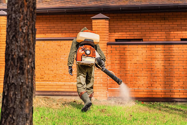 Trusted Bed Bug Control service in Tinton Falls, NJ - Nex Pest Control